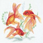 (image for) Goldfish